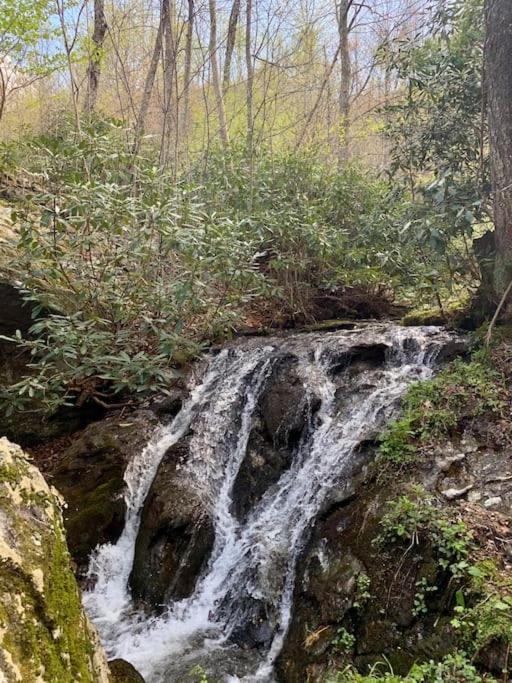 Blue Ridge Parkway Panoramic Paradise-60 Mile View Fancy Gap Dış mekan fotoğraf
